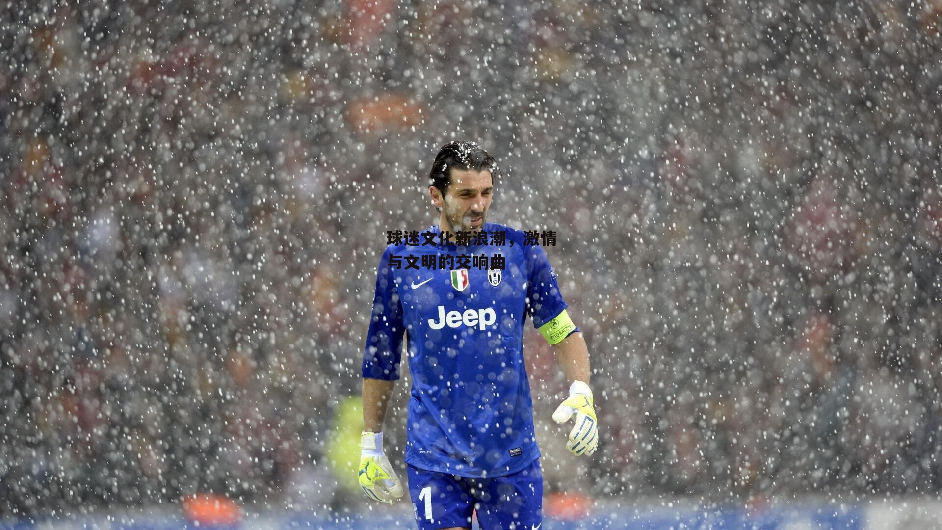 球迷文化新浪潮,激情与文明的交响曲